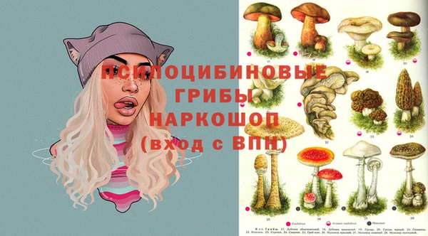 прущий лед Касимов