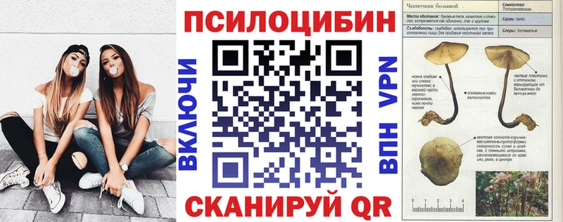Псилоцибиновые грибы ЛСД  купить  сайты  Луза 